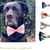 BRENDAN detachable Bow Tie for dogs in 4 sizes Sewing Pattern