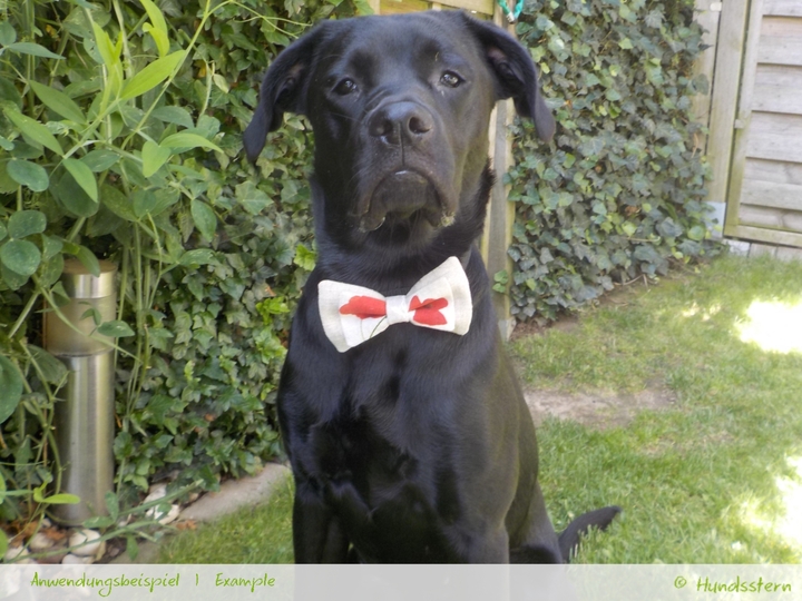 BRENDAN detachable Bow Tie for dogs in 4 sizes Sewing Pattern