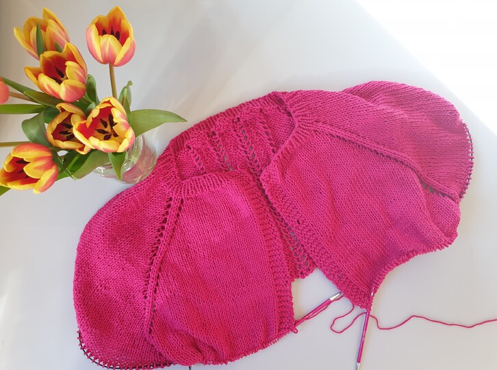 Anleitung Der Orchid Cardigan