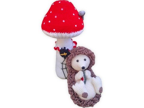 Igor mit Pilz-Anleitung