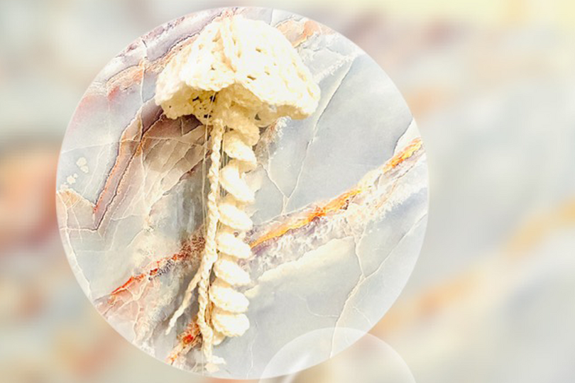 Qualle Häkelanleitung Amigurumi