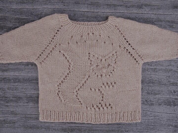 Strickanleitung Kinderpulli "Wundernase" RVO