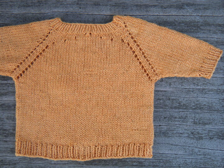 Strickanleitung Kinderpulli "Wundernase" RVO