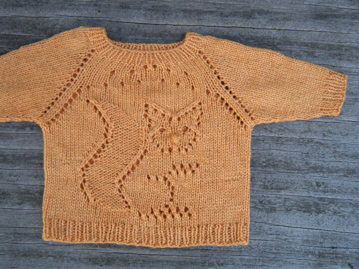 Strickanleitung Kinderpulli "Wundernase" RVO