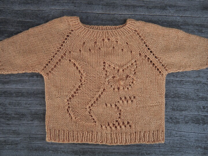 Strickanleitung Kinderpulli "Wundernase" RVO