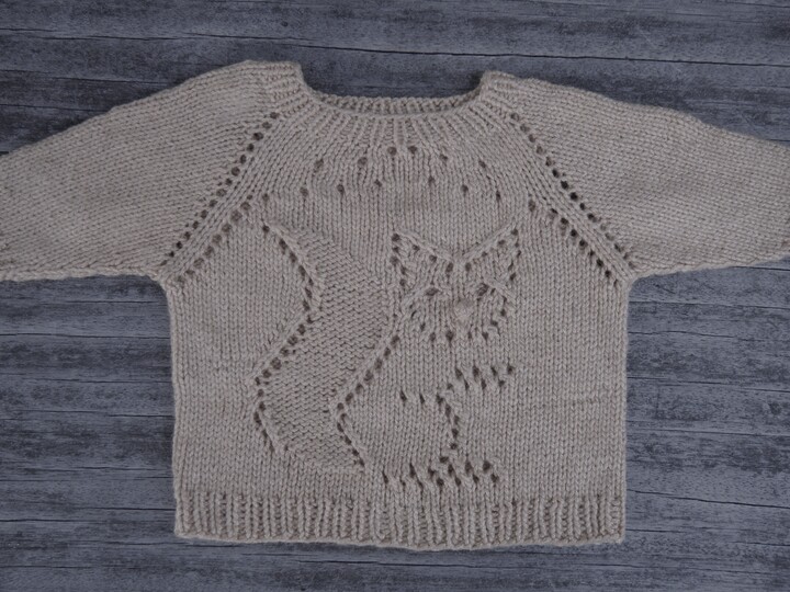 Strickanleitung Kinderpulli "Wundernase" RVO