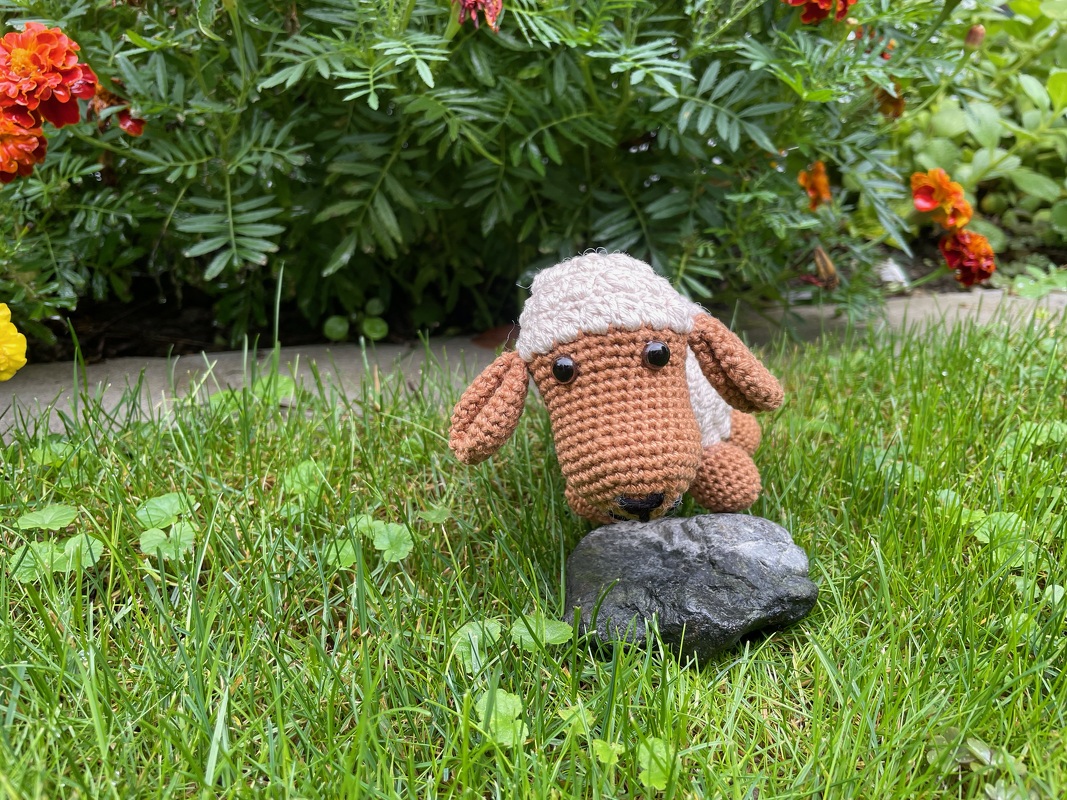 gehäkeltes Amigurumi-Schaf braun-weiß im Gras