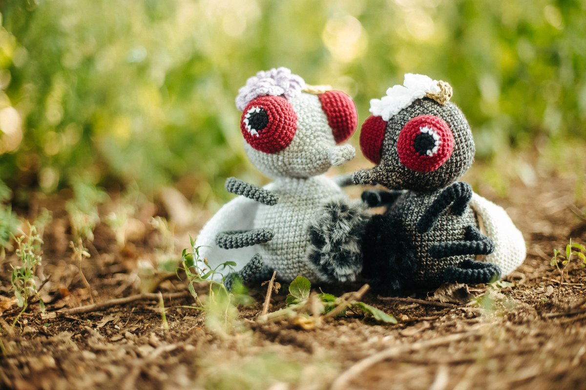 Fae Fliege Anleitung