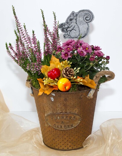 ITH Stickdatei Eichhörnchen in 3 Größen