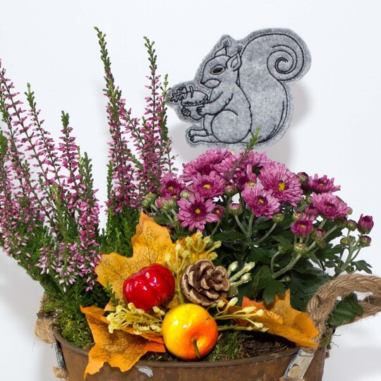 ITH Stickdatei Eichhörnchen in 3 Größen