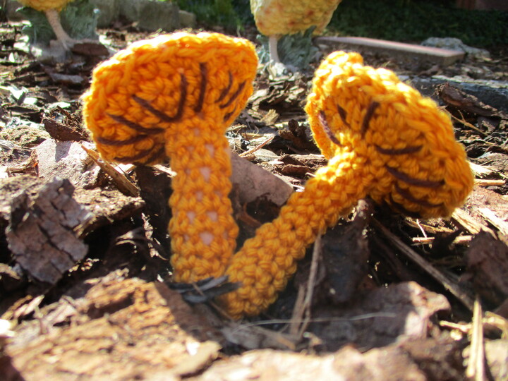 Häkelanleitung Pilze