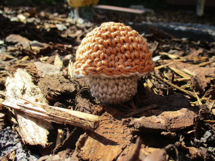 Häkelanleitung Pilze