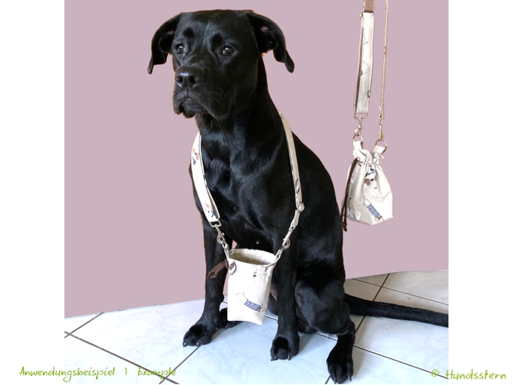 MINOU V2 treat pouch, with lining, 2 sizes, 2 compartments. Pattern