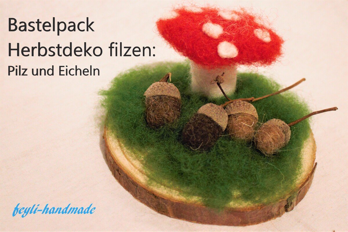 Anleitung zum Trockenfilzen: Pilze und Eicheln