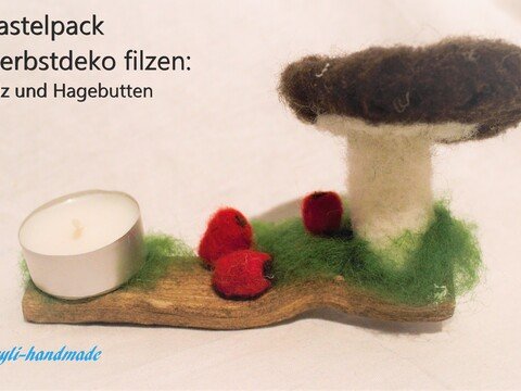 Anleitung zum Trockenfilzen: Pilze und Hagebutten