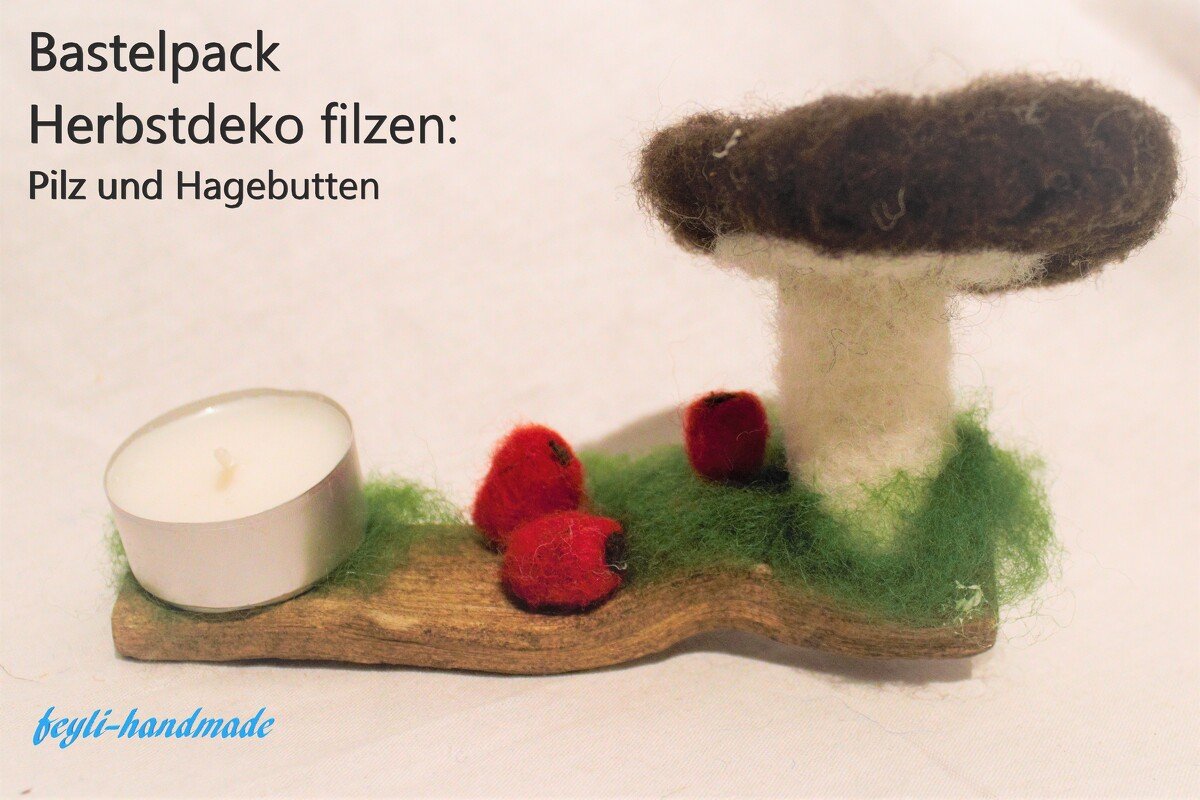 Anleitung zum Trockenfilzen: Pilze und Hagebutten