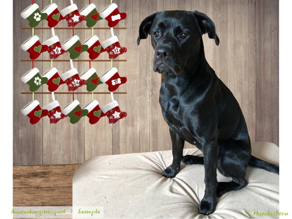 LITTLE NICK Advent Calendar for dogs. Sewing Pattern
