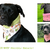 BANDALOO Winter. Dog bandana-scarf. in 8 sizes. Sewing Pattern