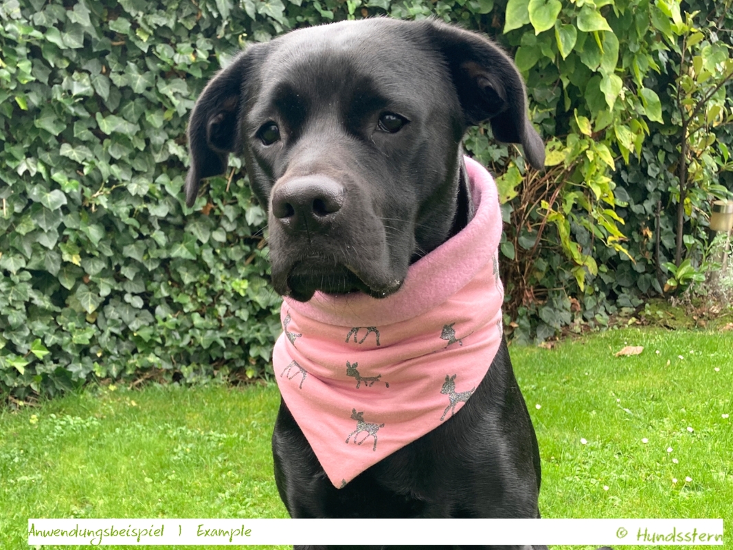 BANDALOO Winter. Dog bandana-scarf. in 8 sizes. Sewing Pattern - Image 6