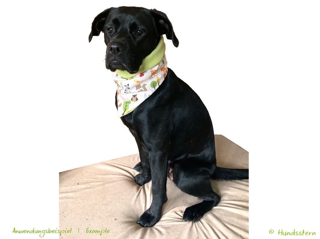 BANDALOO Winter. Dog bandana-scarf. Sewing Pattern