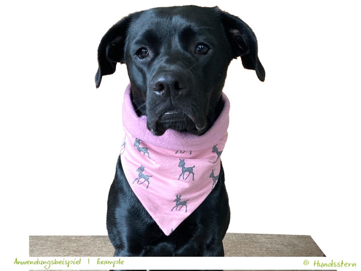BANDALOO Winter. Dog bandana-scarf. in 8 sizes. Sewing Pattern