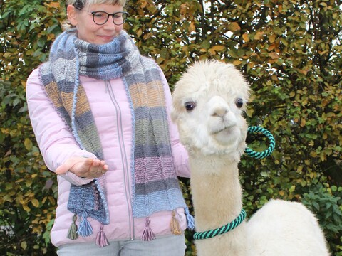 Anleitung Schal Herbstnebel