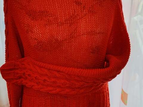 Hoodie "Ostfriesland"