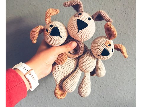 Anleitungspaket Hund