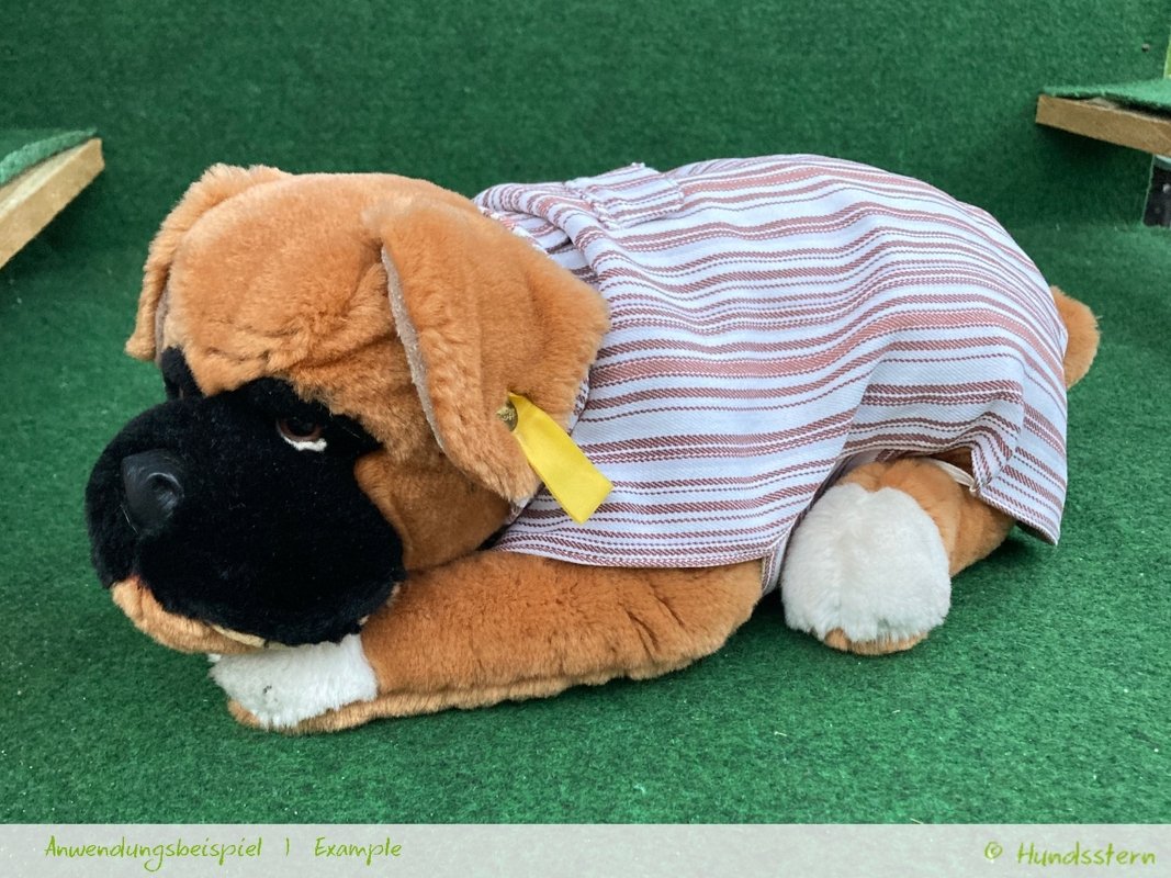 PELERIN Dog Coat with lining, sizes XS–XXL, sewing pattern - Image 5