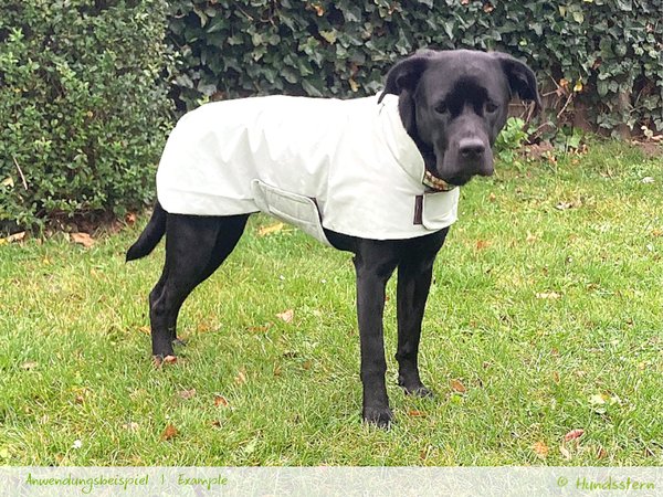 PELERIN Dog Coat, sizes XS–XXL, sewing pattern