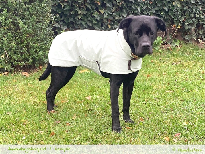 PELERIN Dog Coat with lining, sizes XS–XXL, sewing pattern