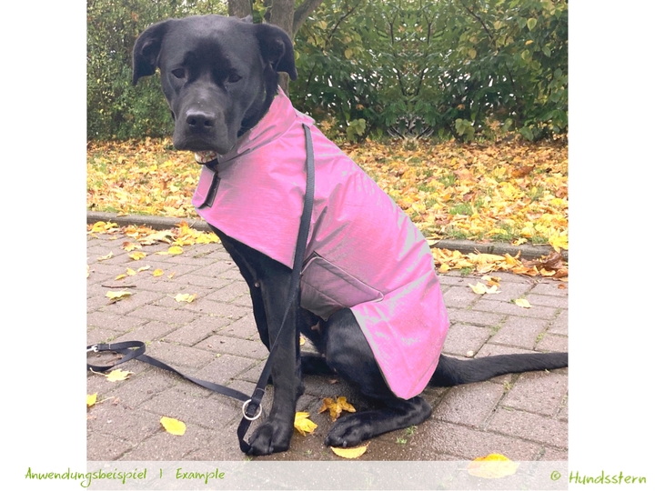 PELERIN Dog Coat with lining, sizes XS–XXL, sewing pattern