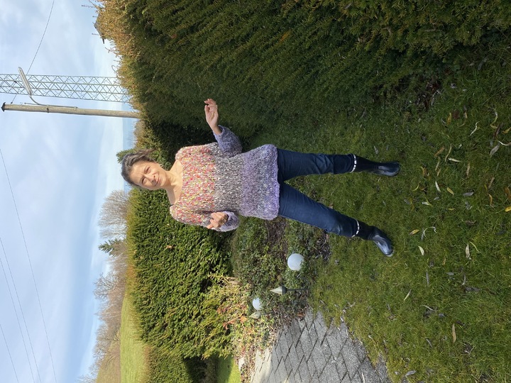 Strickanleitung Wohnpulli Parrot (RVO, ohne Nähte)