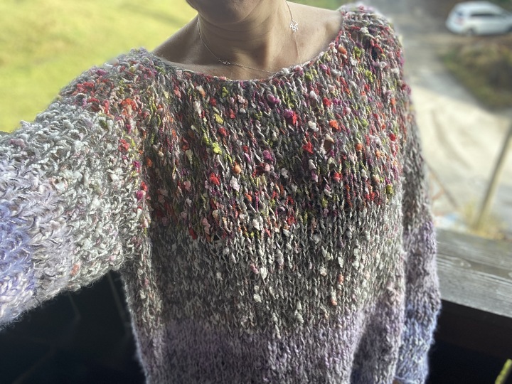 Strickanleitung Wohnpulli Parrot (RVO, ohne Nähte)