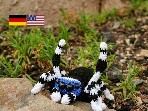 Anleitung Pfauenspinne