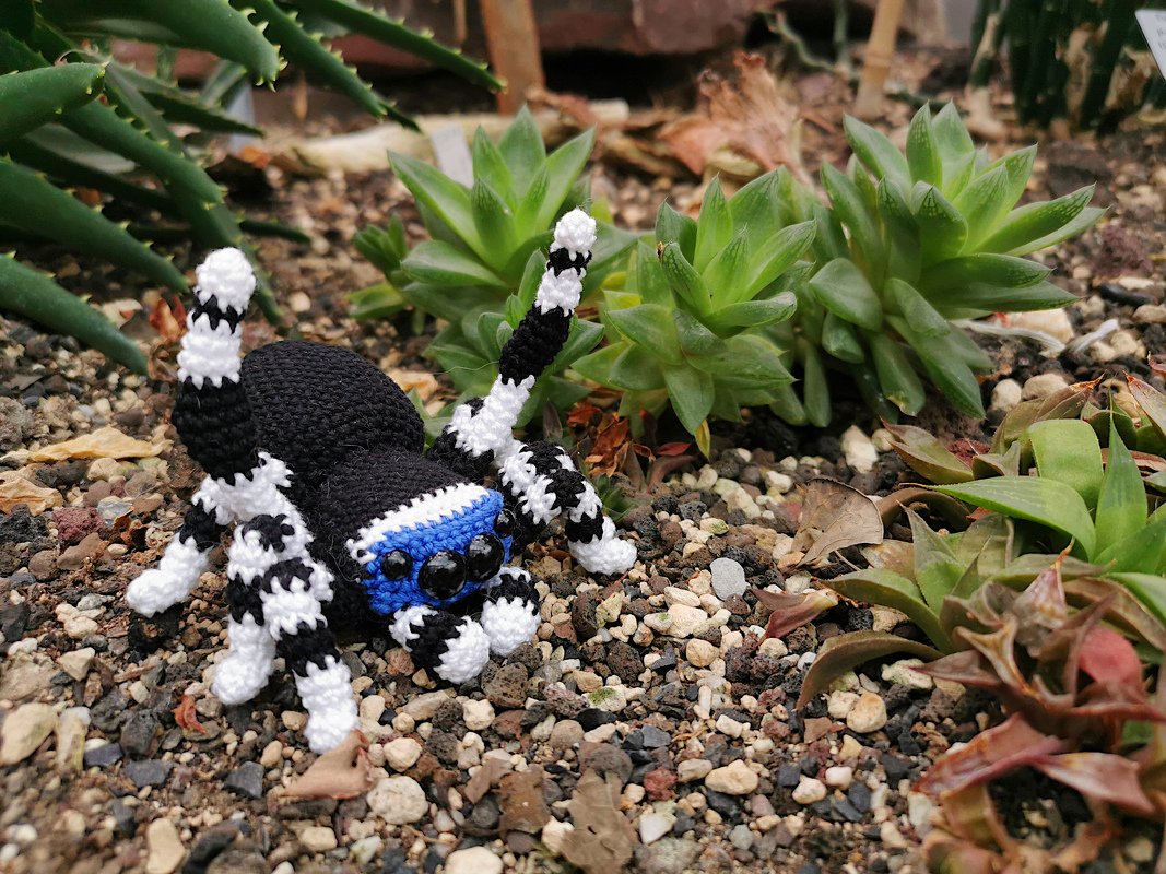 Anleitung Pfauenspinne - Bild 4