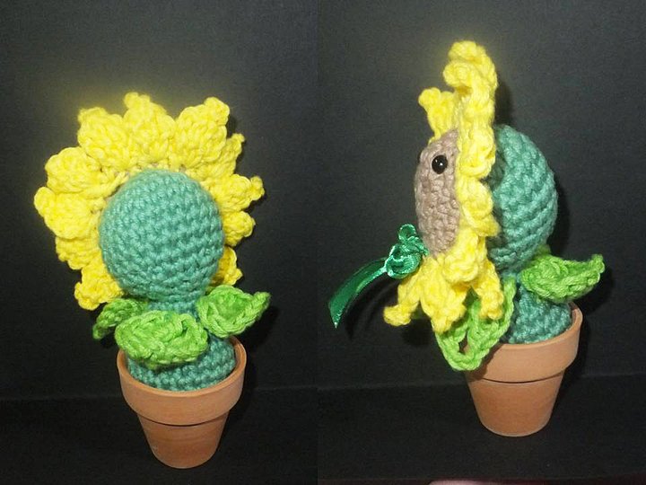 Sonnenblume - zum Erfreuen