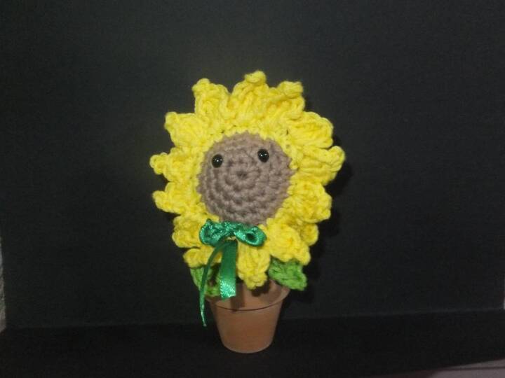 Sonnenblume - zum Erfreuen