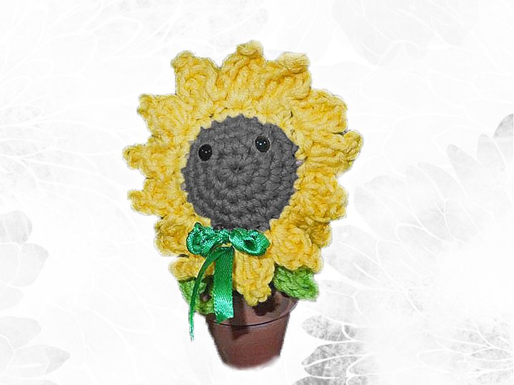 Sonnenblume - zum Erfreuen