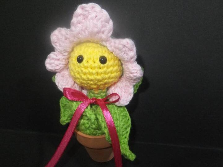 schüchternes Gänseblümchen