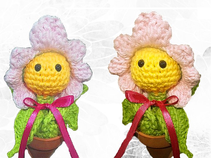 schüchternes Gänseblümchen