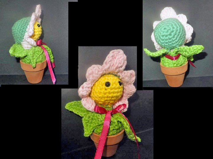 schüchternes Gänseblümchen