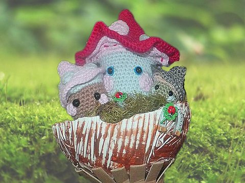 eine Portion Glück - Glückspilze