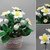 Christmas rose in crochet pot or for the vase - easy & versatile