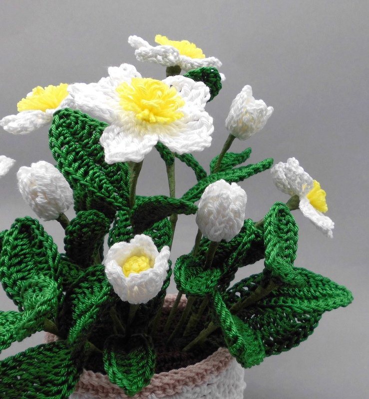 Crocheted white flowers with yellow centers and green leaves in a small pot
