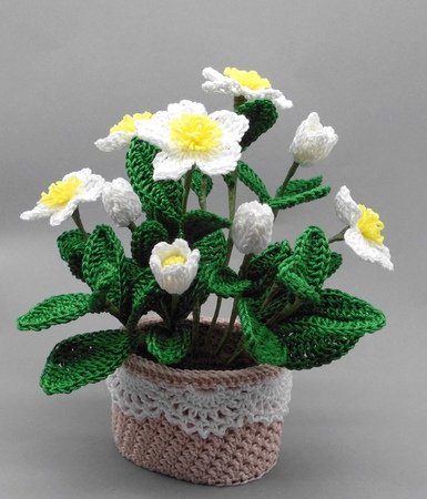 Christrose häkeln // Topfpflanze häkeln