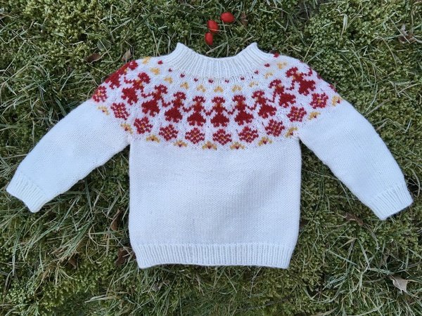 Norweger pullover für kleinkinder stricken Clearance