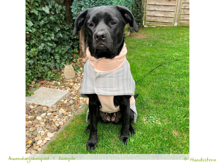 Ergänzungs-Set für Hundemantel PELERIN. Nähanleitung+Schnitt