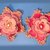 Sternblume