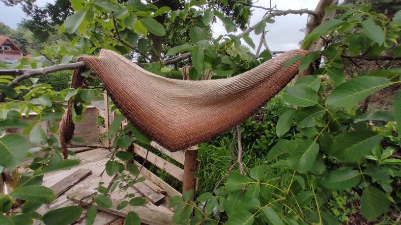 Aiolos by Elso Designs - Bild 6